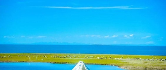 露營熱浪襲來 旅行社轉型的機遇與挑戰