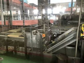 104班云朵家研學之旅 探秘祖名豆腐廠，品味傳統(tǒng)工藝的現(xiàn)代傳承